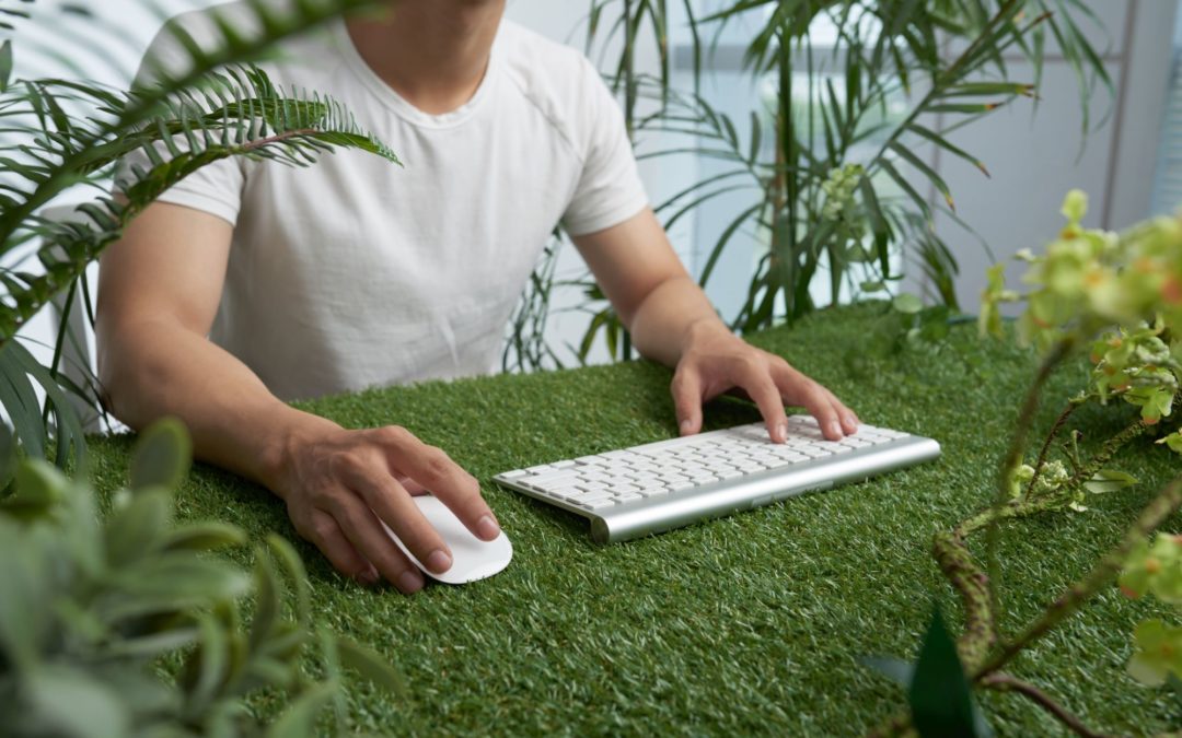 Veinte medidas para proteger el medioambiente desde tu empresa o teletrabajando